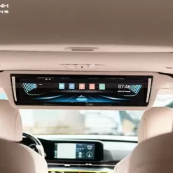 Màn hình trần xe Kia Carnival 1
