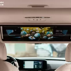 Màn hình trần xe Kia Carnival 3